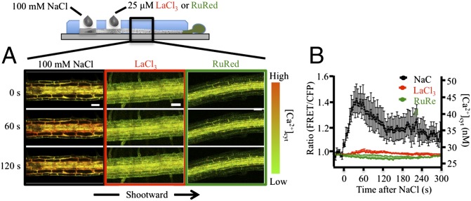 Fig. 4.