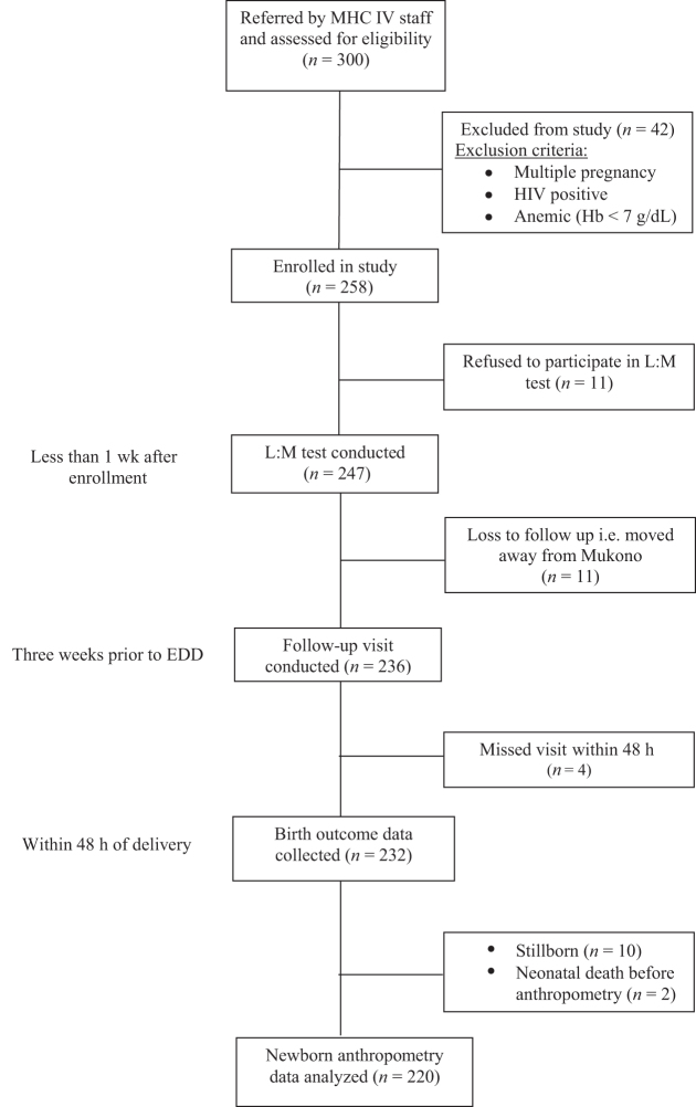 FIGURE 1