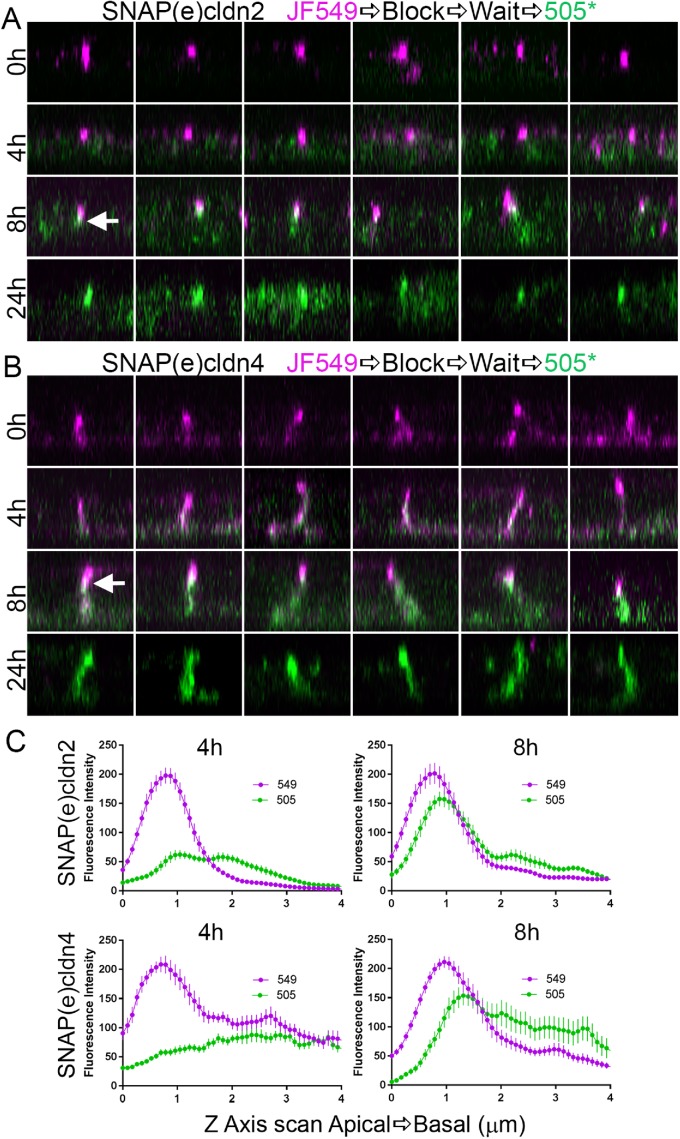 FIGURE 6: