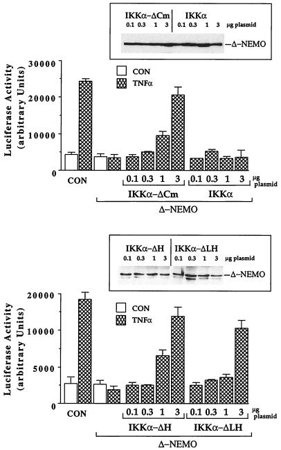 FIG. 11