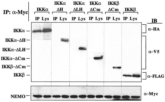 FIG. 10