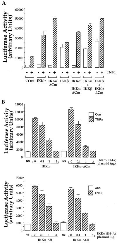 FIG. 6