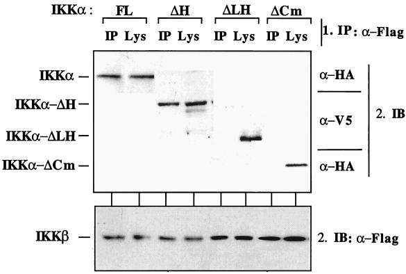 FIG. 8