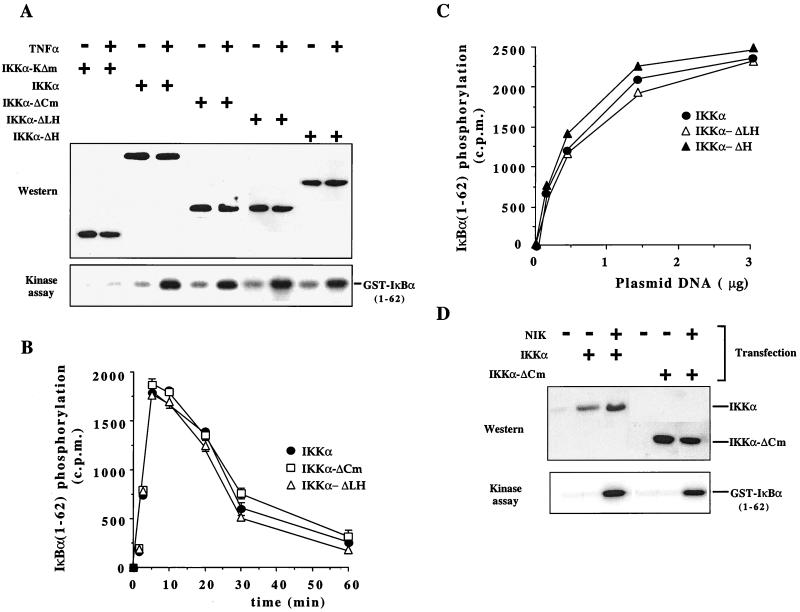 FIG. 7