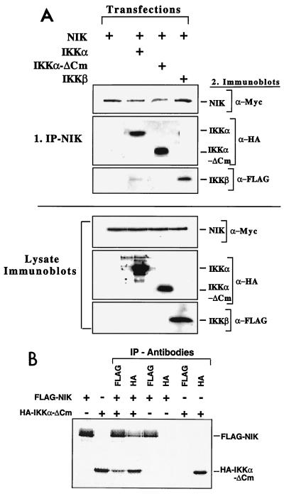 FIG. 9