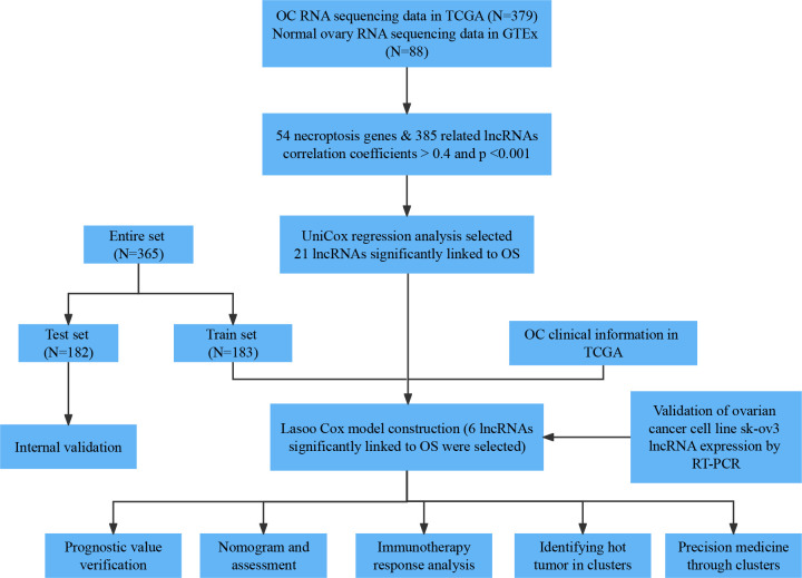 Figure 1