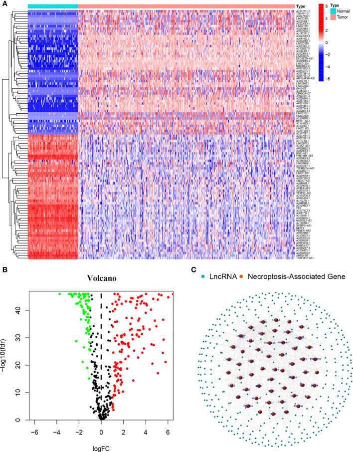 Figure 2