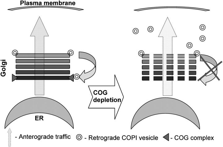 Figure 10.