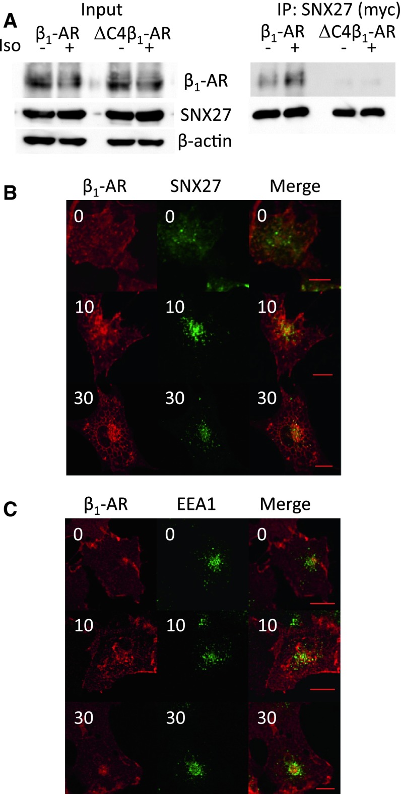 Fig. 4