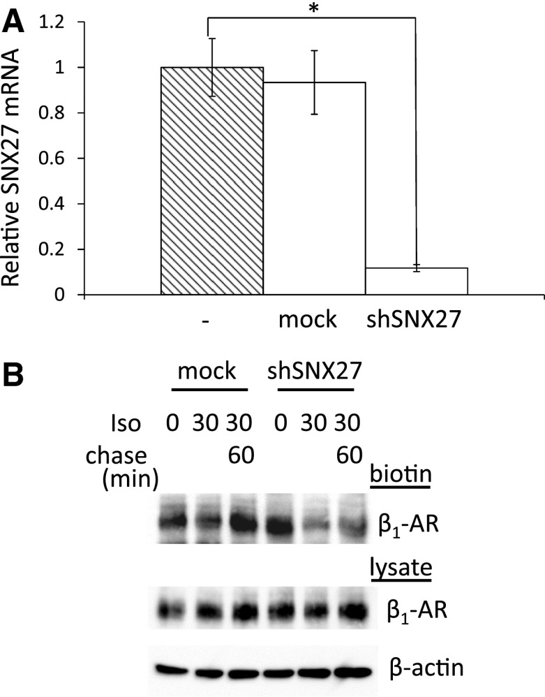 Fig. 5