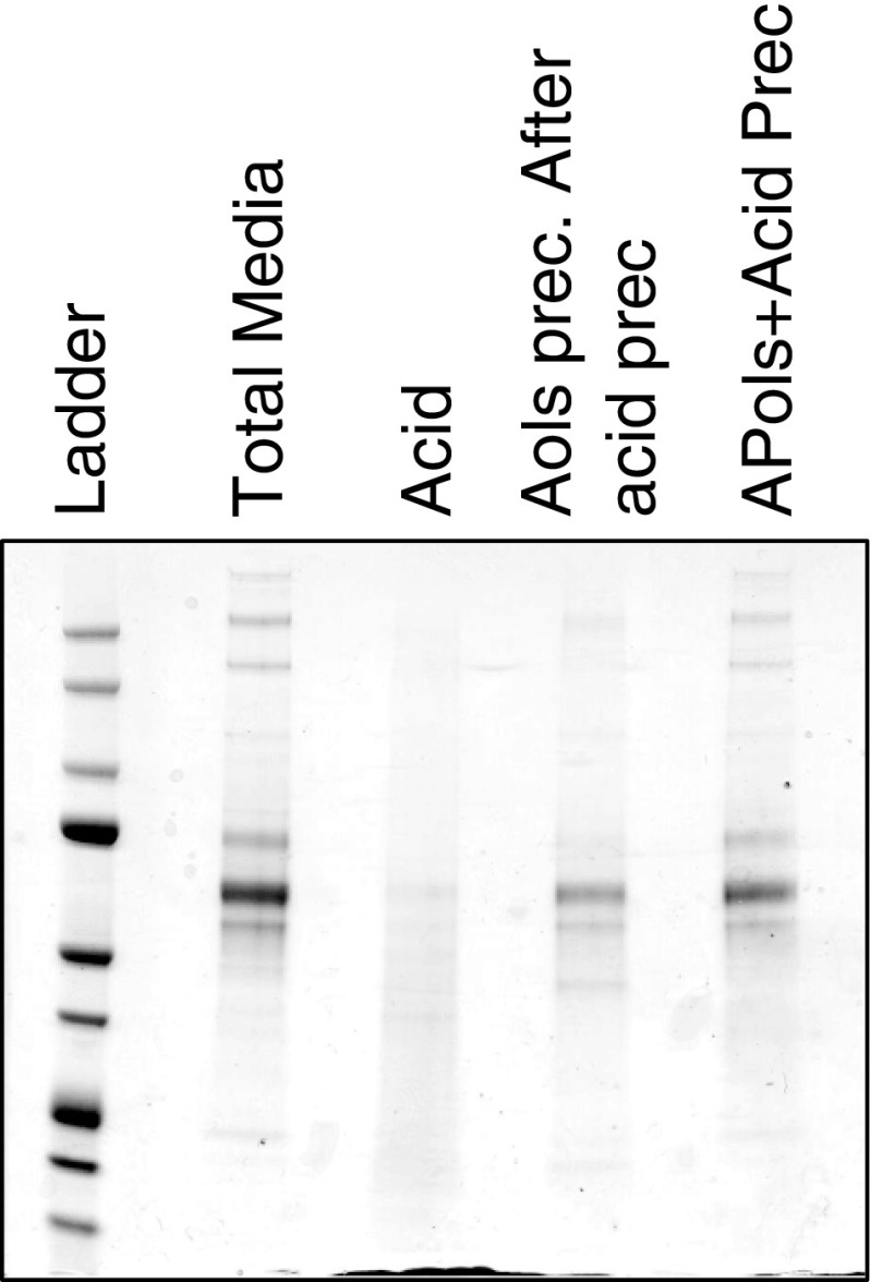 Fig. 4