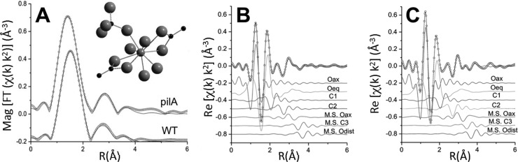 FIG 5