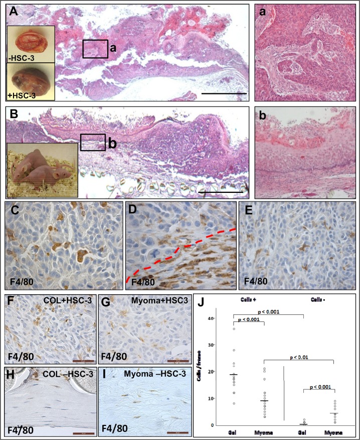 Fig 10