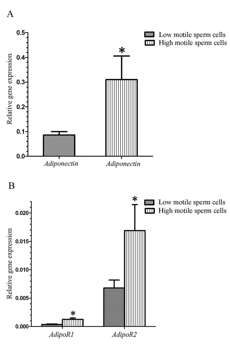 Fig.1