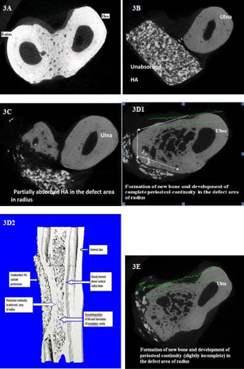 Figure 3: