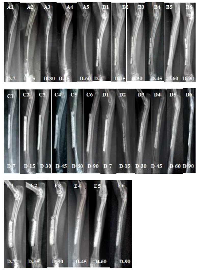 Figure 1: