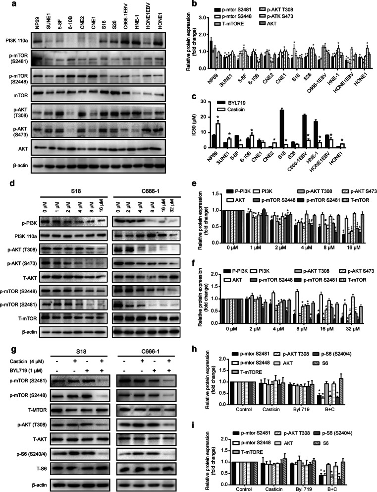 Fig. 6