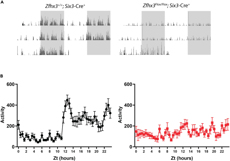 Figure 5