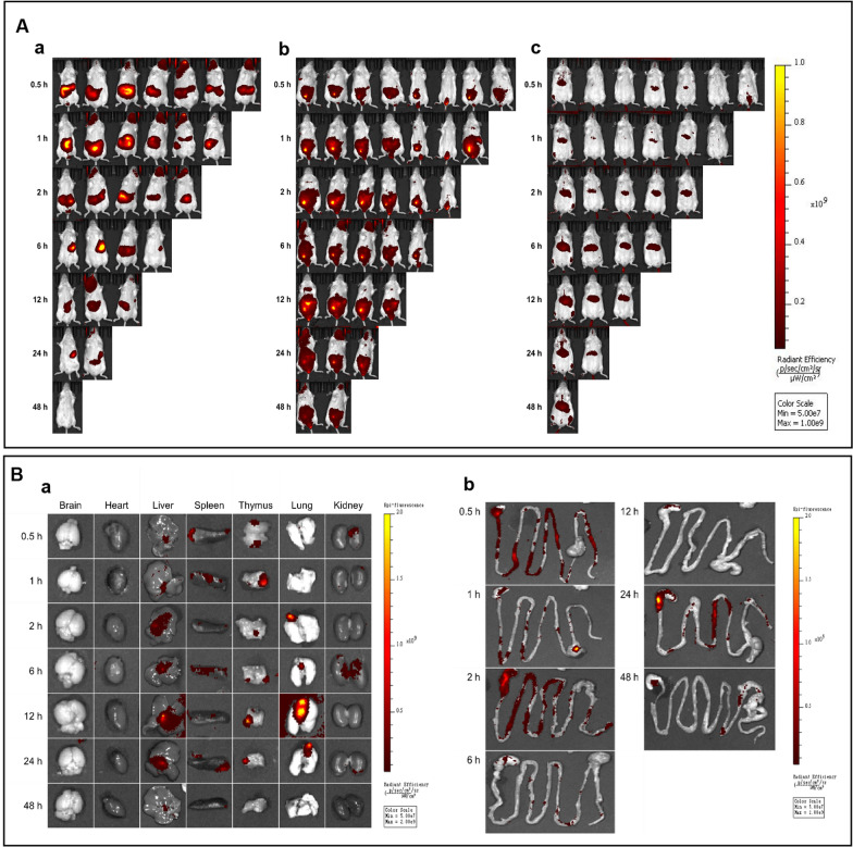 Fig. 3