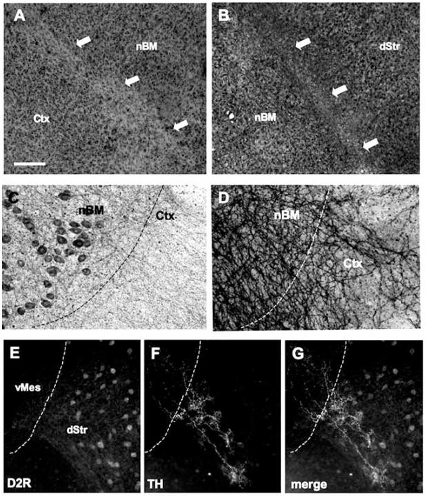 Fig. (2)