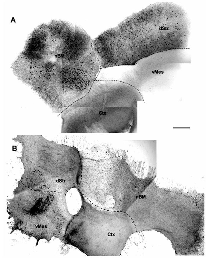 Fig. (1)