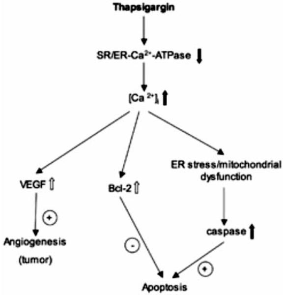 Fig. (5)