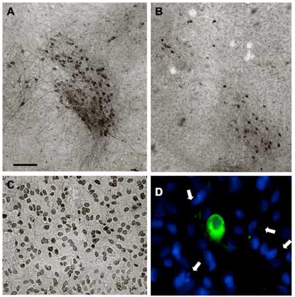 Fig. (4)