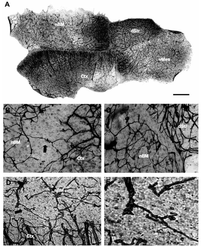 Fig. (3)