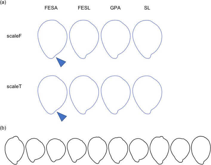 Fig 5