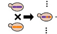graphic file with name MSB-18-e10712-g004.jpg