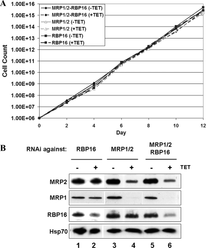 FIG. 7.