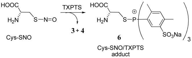 Scheme 3