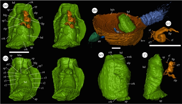 Figure 1.