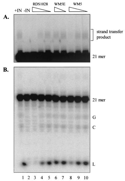 FIG. 4.