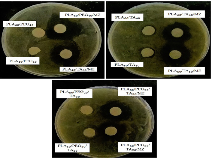 Fig. 18