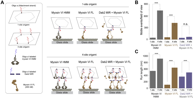 Figure 4