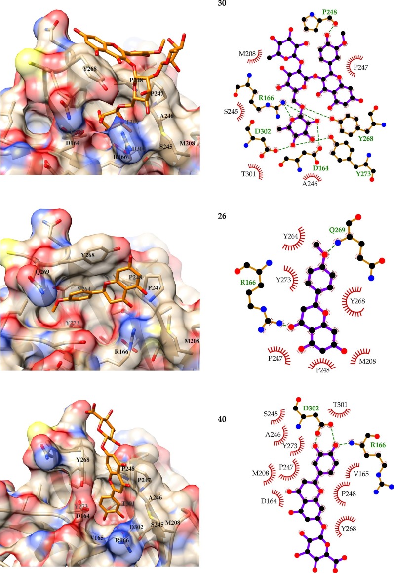 Fig. 3