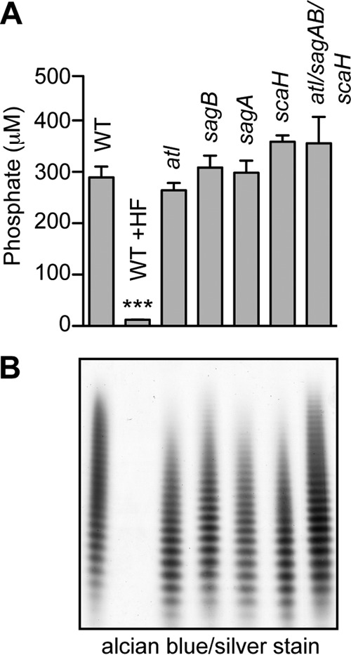 FIG 7