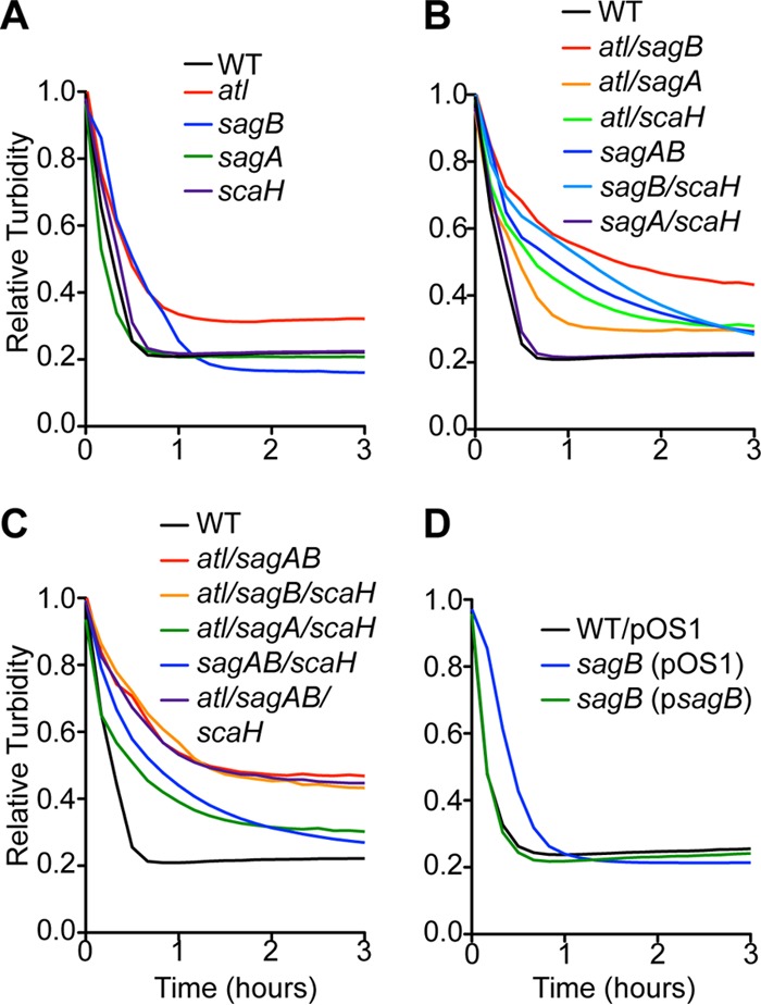 FIG 2