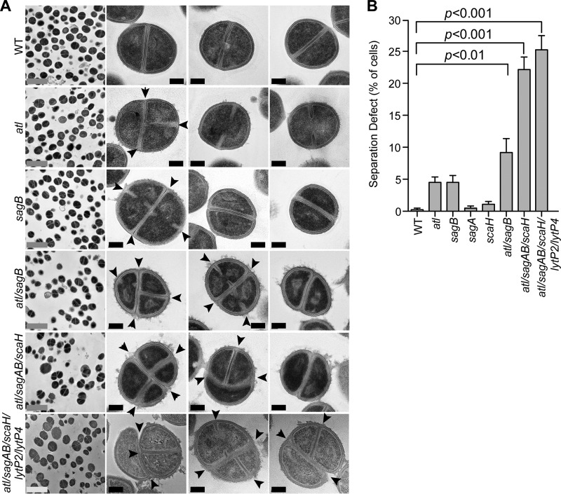 FIG 6