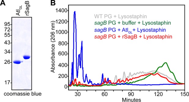 FIG 4