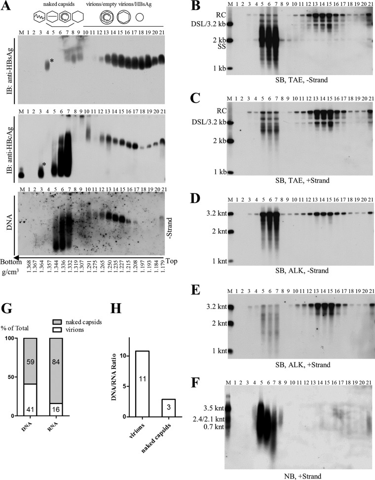 FIG 2