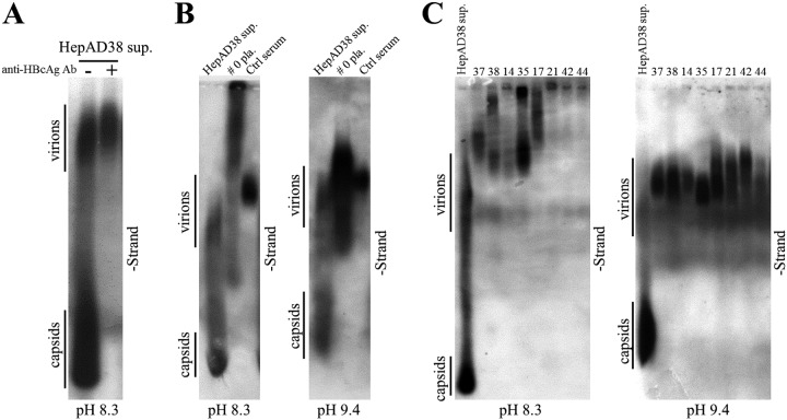 FIG 6