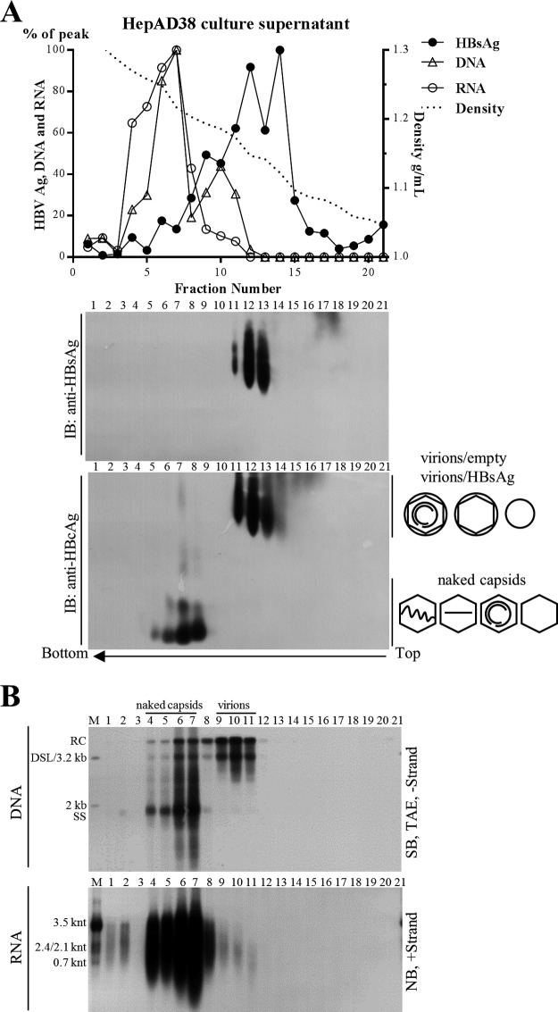 FIG 1