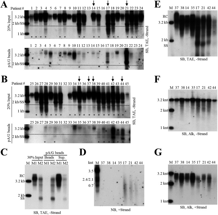 FIG 3