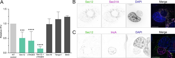 Fig 9