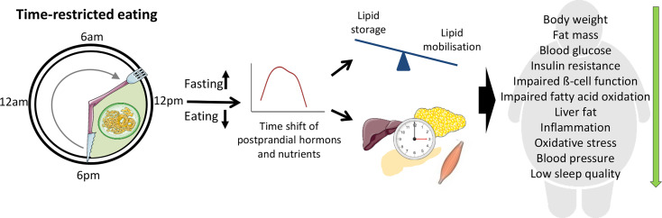 Figure 1