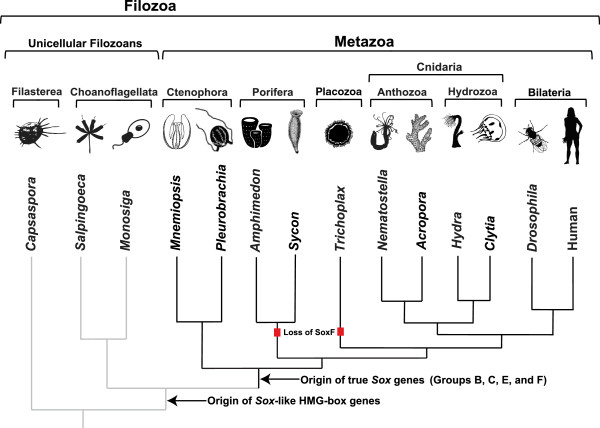 Figure 7