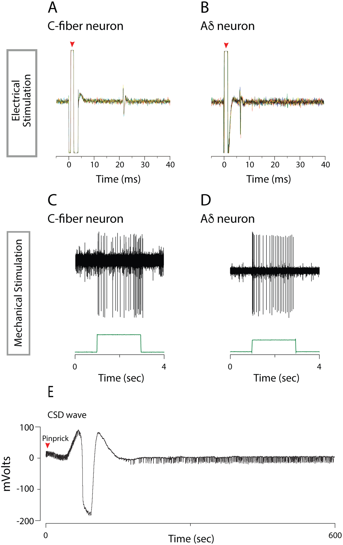 Fig.2.