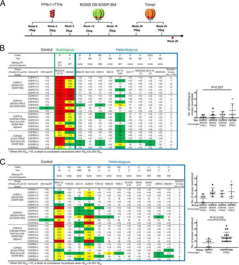 FIG 12